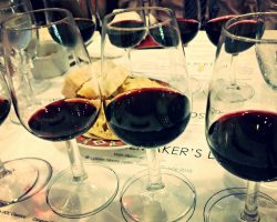 Tedeschi-Wines-Dinner-at-Lysses-House-Hotel-June-2015-5-1