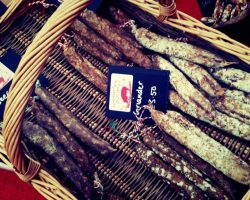 Vineyards-of-Hampshire-Wine-Festival-at-Hambledon-Vineyard-17