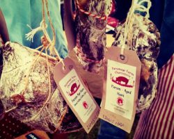 Vineyards-of-Hampshire-Wine-Festival-at-Hambledon-Vineyard-26