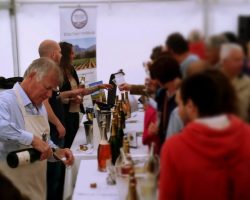 Vineyards-of-Hampshire-Wine-Festival-at-Hambledon-Vineyard-29