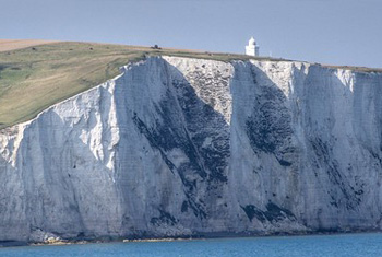 Albion English Sparkling Wine?