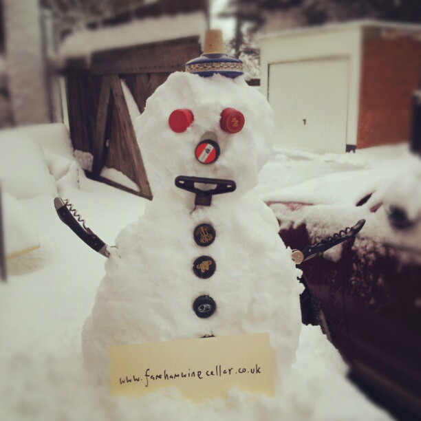 The Stelvin Snowman
