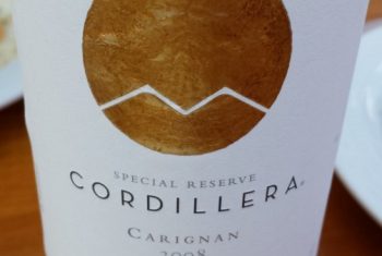 Torres Cordillera Carignan