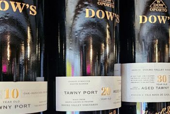What is the best Port Wine for a beginner?