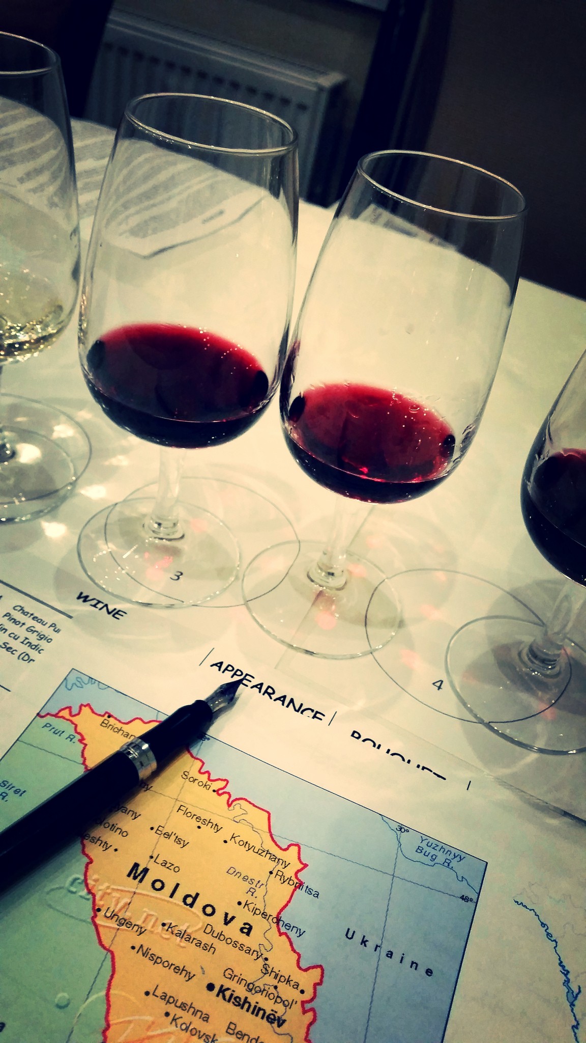 Moldovan Wine Tasting