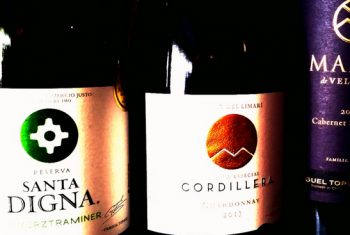 Torres Chile Wine Maker Dinner Thursday 8th June