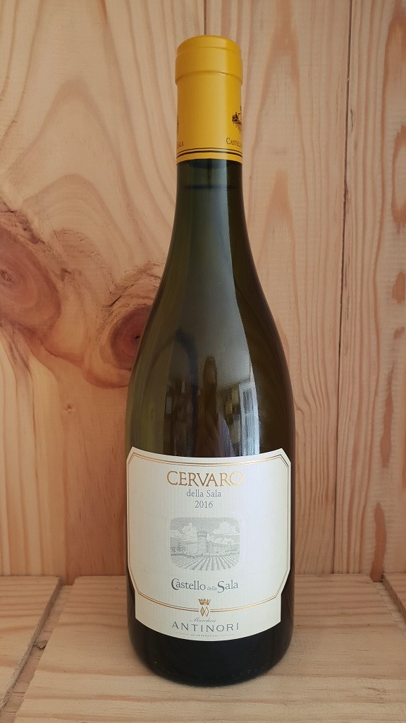 Antinori Cervaro della Sala, a superstar from Umbria