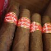 Quintero Petit Quintero Cigars - 1 Single Cigar