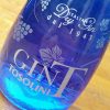 Tosolini GinT Italian Dry Gin 43%