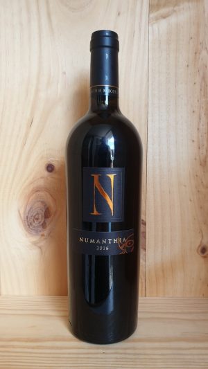 Numanthia Toro, Bodegas Numanthia