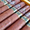 Montecristo Open Master untubed - 1 Single Cigar