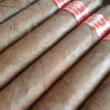 Partagas Serie P No 2 Cigars - 1 Single Cigar