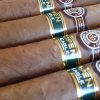 Montecristo Open Eagle Cigar - 1 Single Cigar