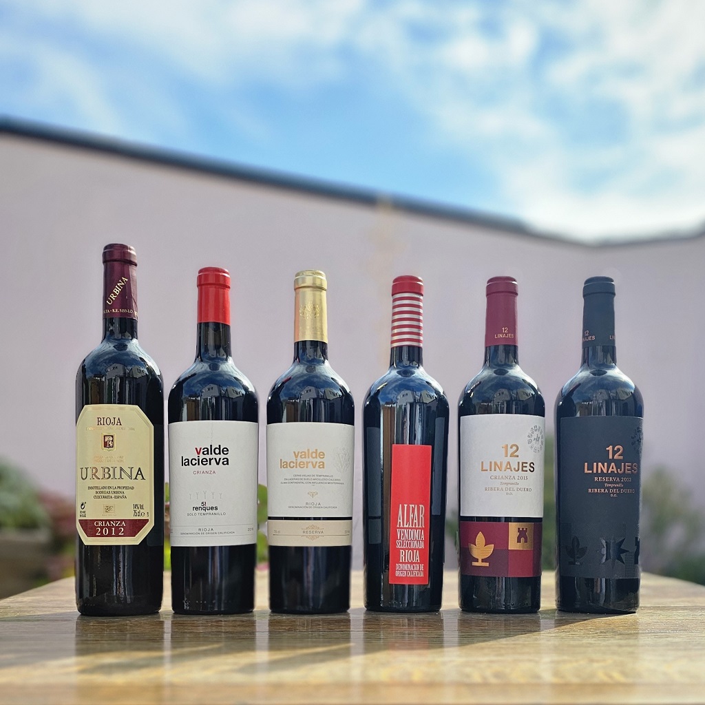 Rioja and Ribera del Duero Wine Sampler Case – 6 x 75cl bottles