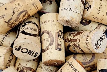 Domaine Jones Wine Tasting and Dinner 2023